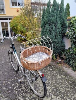 Gut erhaltener Fahrradhundekorb zu verkaufen - Alsbach-Hähnlein