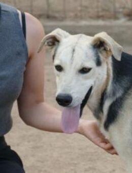 Bonito freut sich auf sein neues Leben - Neuss