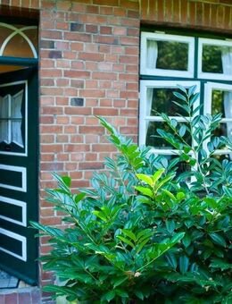 VERKAUFT!! Charmanter kleiner Landsitz für Pferdefreunde - 9.311 m² Flurstück - davon 1.190 m² Grundstück - Hechthausen