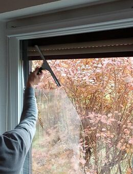 Der Fensterputzer kommt - Chemnitz Zentrum