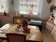 Katze abzugeben - Geislingen (Steige)