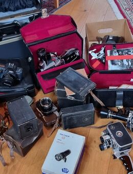 Verschiedene Kameras aus Haushaltsauflösung - Insul