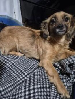 Old Lady 011225 stellt sich vor - Köln