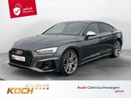 Audi S5, Sportback 55 TDI q &O, Jahr 2022 - Schwäbisch Hall