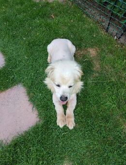 Casper - Marsberg