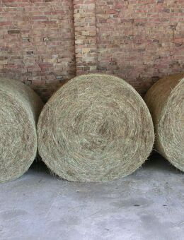 Heu in Rundballen Ø 1,60m - Wagenfeld