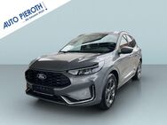 Ford Kuga, 2.5 Duratec FHEV ST-LINE X, Jahr 2022 - Worms