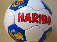 Fussball Harib - Stralsund