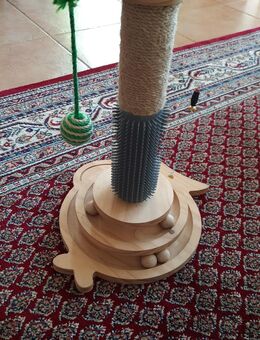 Katzen Spielzeug. Für15 Euro. VB. - Verl