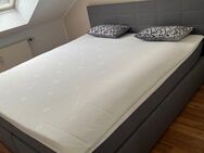 1.80m Boxspringbett inkl. Matratze und Topper - Neuss