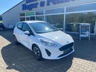 Ford Fiesta Cool & Connect - Falkenstein (Vogtland)