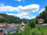 Idyllisches Wohnen mitten im Schwarzwald - Lauterbach (Baden-Württemberg)