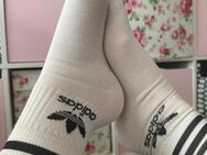 Getragene Socken Tennissocken - Fürth