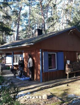 Wochenendhaus auf Waldpachtland - Bienenbüttel