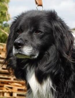 GUGO - Seniorenzeit genießen - Overath