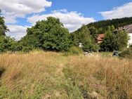 Weitläufiges Wiesengrundstück im Luftkurort Wolfshagen im Harz! - Langelsheim