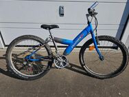 Verkaufe eine Fahrrad der Marke Panther 24Zoll 21Gang - Roding Zentrum