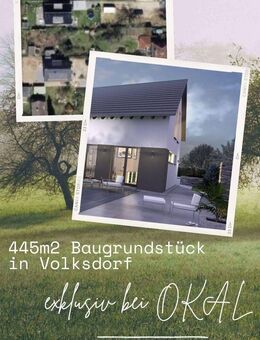 Corutagefreier Neubau in Volksdorf - Hamburg