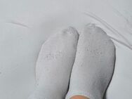 Latina's getragene Socken gr. 42 - Berlin