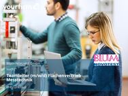 Teamleiter (m/w/d) Flächenvertrieb Messtechnik - Grünkraut