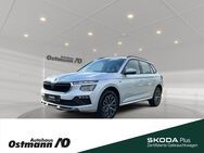 Skoda Kamiq, Selection 85kw, Jahr 2024 - Niestetal