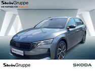 Skoda Octavia, 2.0 TDI Combi Sportline, Jahr 2024 - Gummersbach