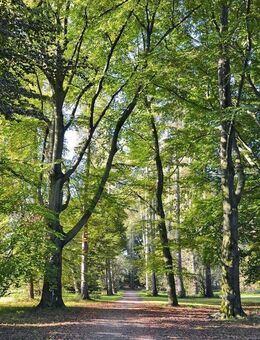 Renovierte klassische 4 Zimmer Altbauwohnung mit Lift in Untergiesing - München
