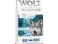 20% gratis! ! 14,4 kg Wolf of Wilderness - getreidefrei - Blue River - Lachs
