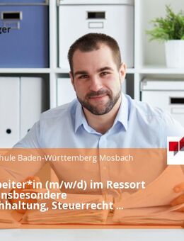 Sachbearbeiter*in (m/w/d) im Ressort Finanzen insbesondere Bilanzbuchhaltung, Steuerrecht und Controlling - Mosbach