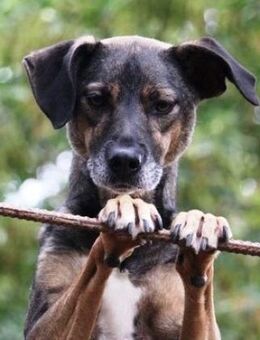 Jaden ist ein so freundliches Kerlchen! - Karben