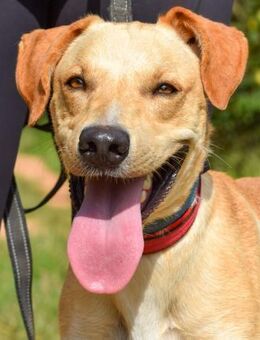 Rick ist so lieb zu Allen und Jedem.... - Laatzen