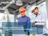 (Senior) Projektleiter in der Stadtsanierung und Stadtentwicklung (m/w/d) - Hamburg