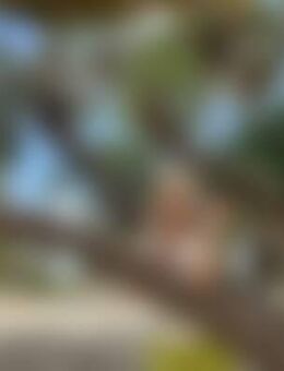 Cla*** - Düsseldorf