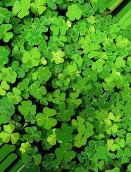 Guter Start ins neue Jahr - Einfamilienhaus mit Charme - Castrop-Rauxel