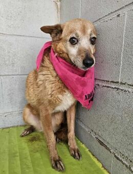 Schüchterne Margot - Eichenzell