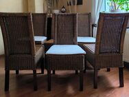 6 hochwertige Hochlehner Rattanstühle * Rattan Stuhl * Korb - Offenbach (Main) Bieber