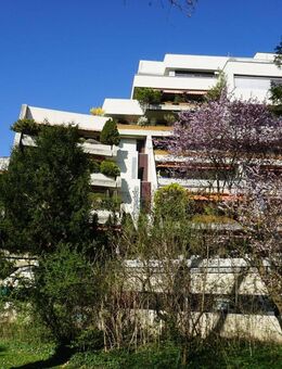 Nürnberg am Stadtpark: Große 4-Zi. Terr.-Wohnung mit Blick ins Grüne / Wohnung kaufen - Nürnberg