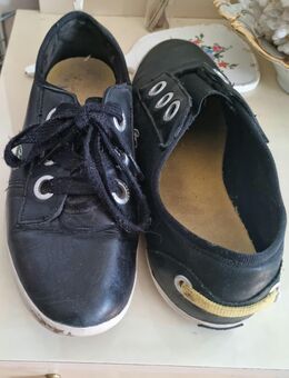 Sneaker Lacoste - Trier Zentrum