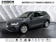 VW Tiguan, 2.0 TSI IQ LIGHT, Jahr 2024 - Berlin