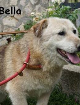 Oma Bella sucht .... - Kissing