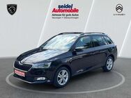 Skoda Fabia Combi 1.0 TSI Soleil, MirrorLink, LED, SHZ - Wunstorf