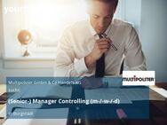 (Senior-) Manager Controlling (m-/-w-/-d) - Burgstädt