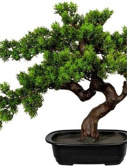 Kunstbonsai Bonsai Bonsai, Creativ green, Höhe 40 cm