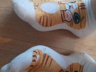 Socken über 1 Woche getragen von Curvy W32 (pers. Übergabe) - Essen