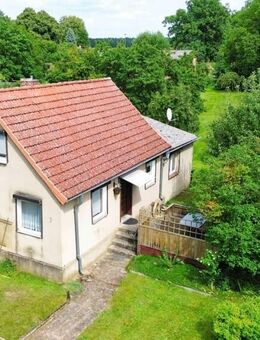 Großes Grundstück mit kleinem Wohnhaus und Nebengelass für Hobbytierhalter oder Selbstversorger - Putlitz