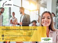 Praktikum Human Resources (m/w/d) - Sindelfingen