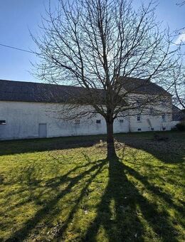 Renovierter Hof - Wohnhaus mit Scheune und herrlichem Grundstück! - Badem