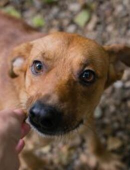 ELIO - Aufmerksamkeit genießen - Overath