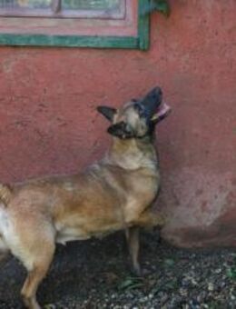 KIM - Freunde für immer werden - Overath