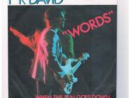 FR David-Words-When the Sun goes down-Vinyl-SL,1982 - Linnich